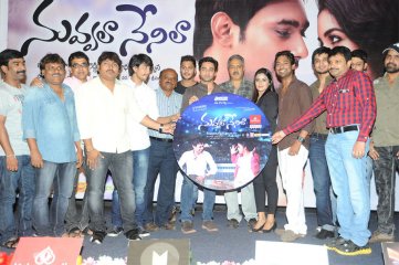 Nuvvala Nenila Audio Launch